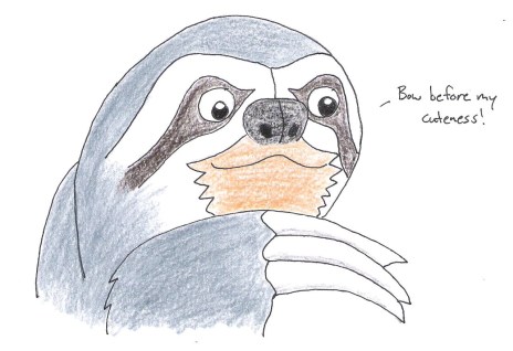cute sloth