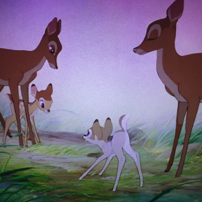 The deer move very organically, especially in this sequence where we meet Bambi's love for the first time.