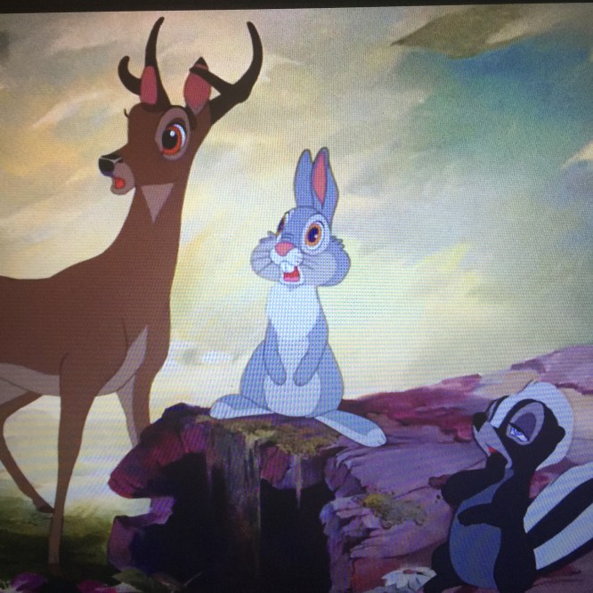 Everyone gets a little less cute as they grow up and...Flower!  Pay attention!