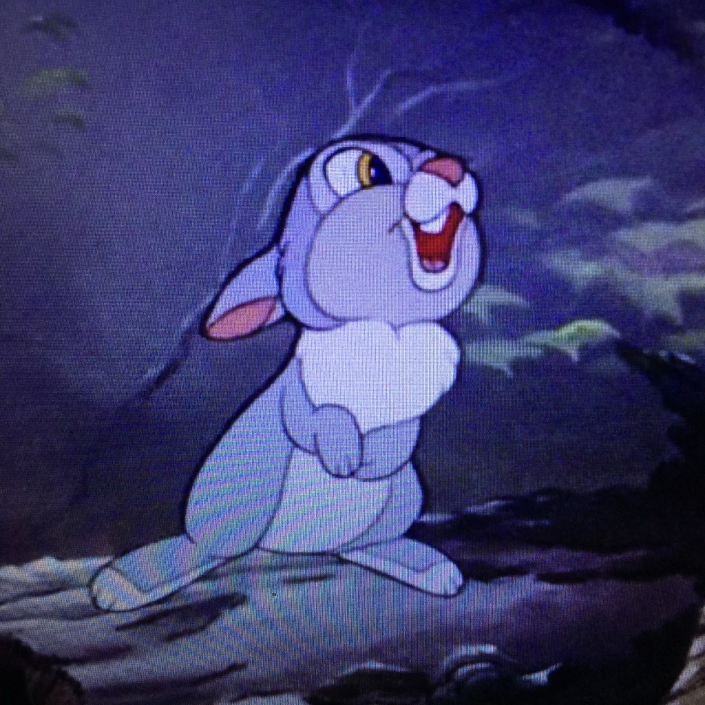 Thumper's single tooth makes him one of the cutest things in this film and it is a steep contest. 