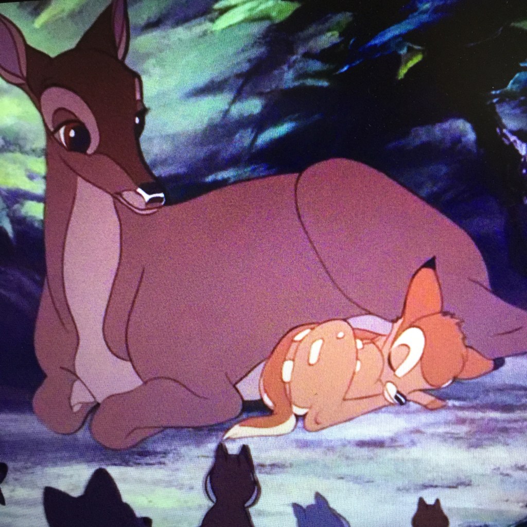 Everyone comes out to see the new Prince.