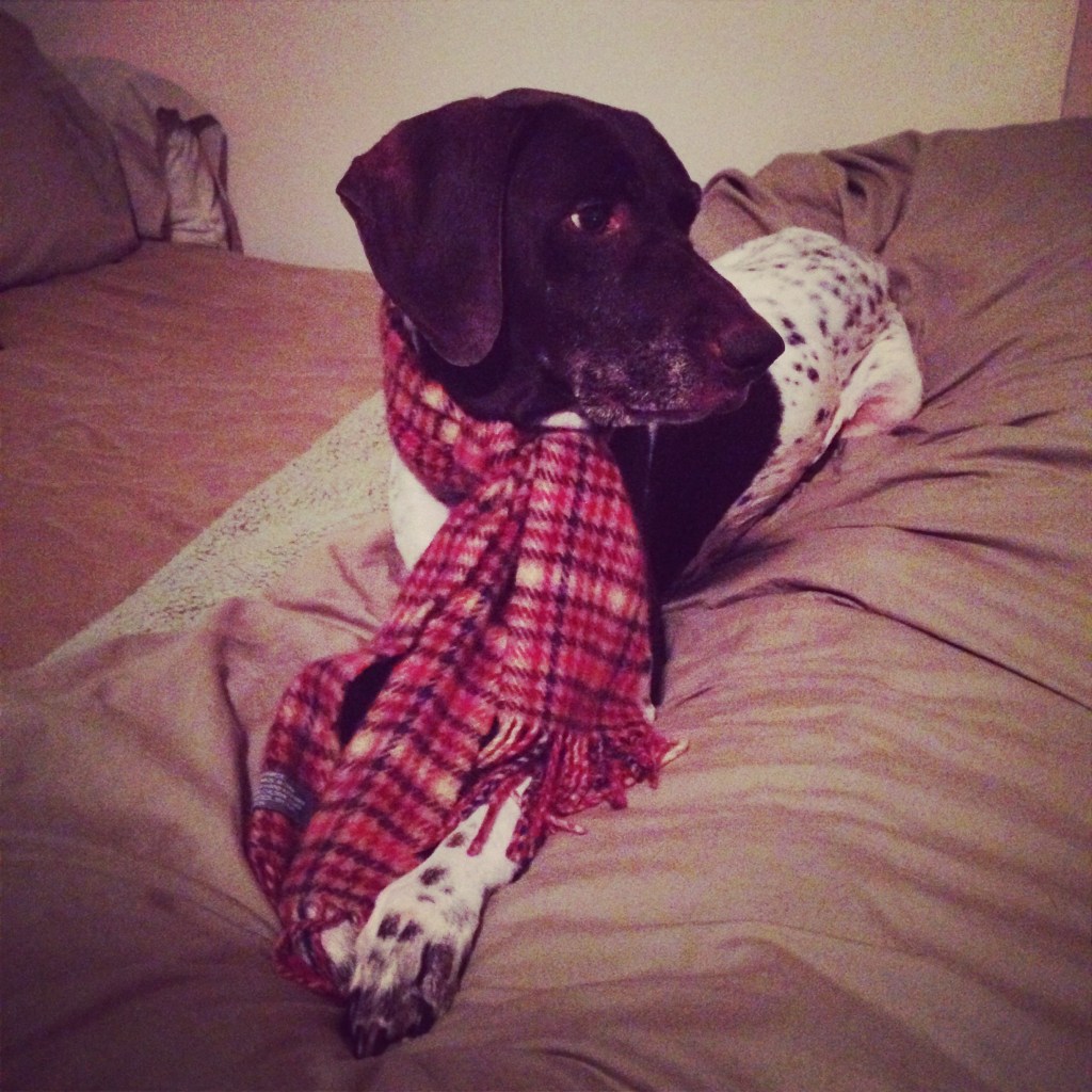 Photo Nov 04, 11 09 21 PM