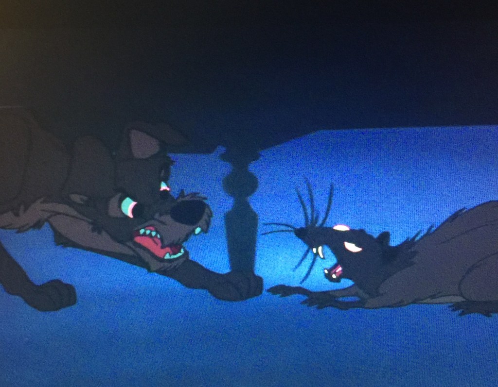 The most intense rat/ dog battle you'll ever see.