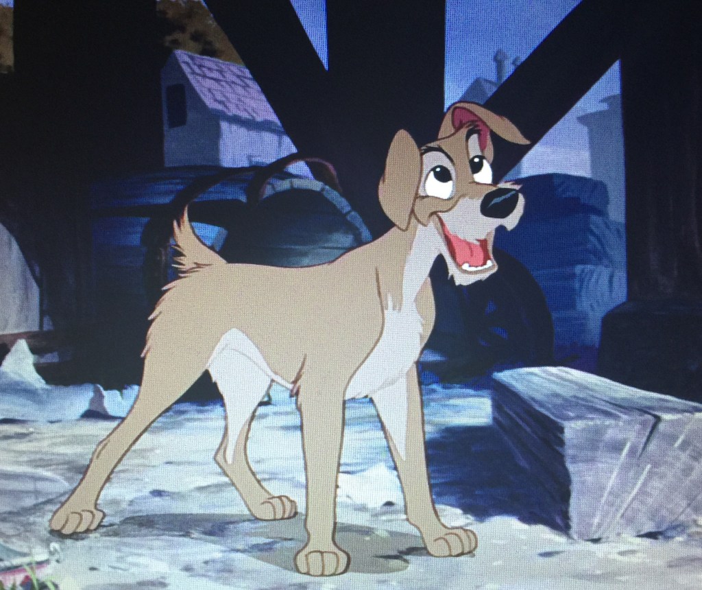 Although he's a pretty clean cut mutt if I do say so myself.