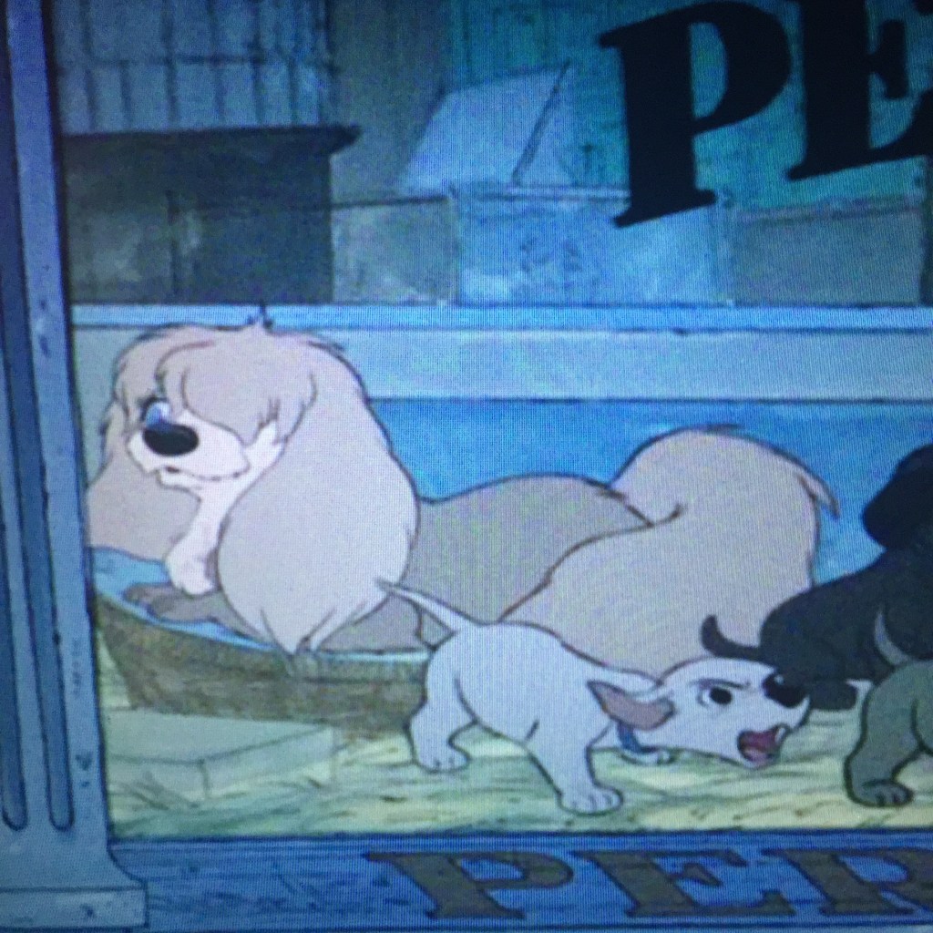 Photo Sep 13, 11 33 01 PM