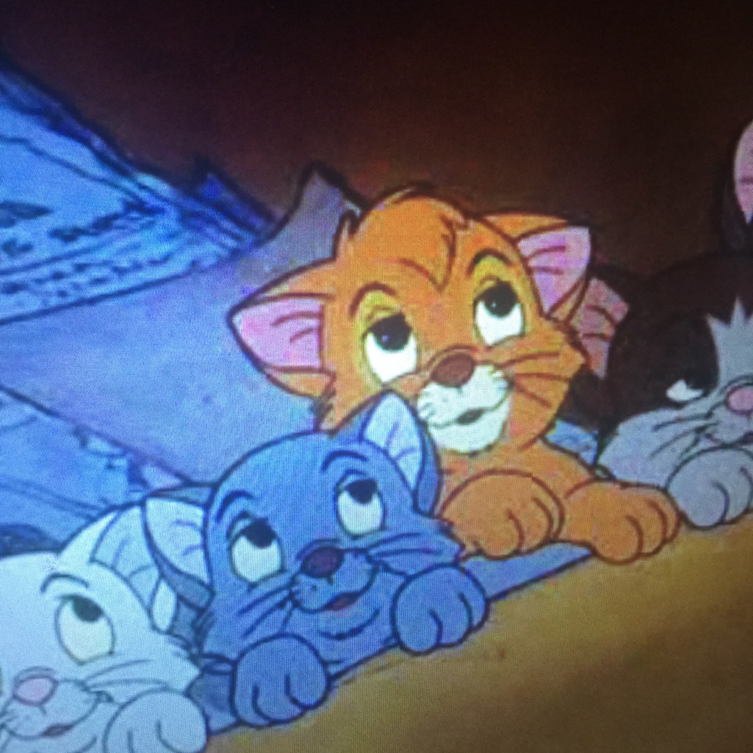 Photo Nov 13, 8 33 13 PM