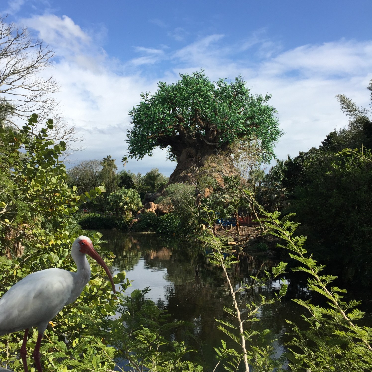 Photo Feb 23, 2 50 28 PM