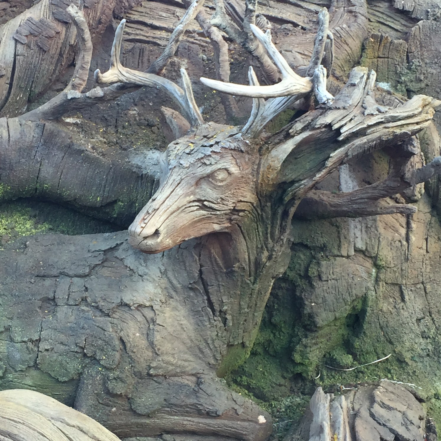 Photo Feb 23, 8 54 27 AM