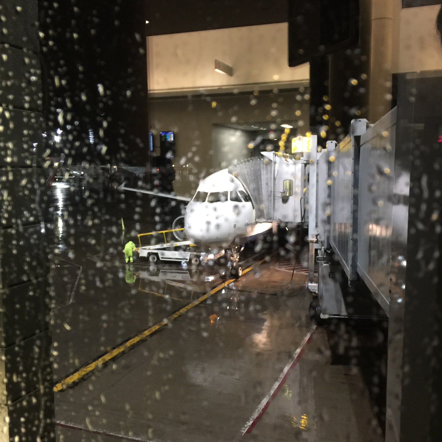 Photo Feb 25, 1 53 16 AM