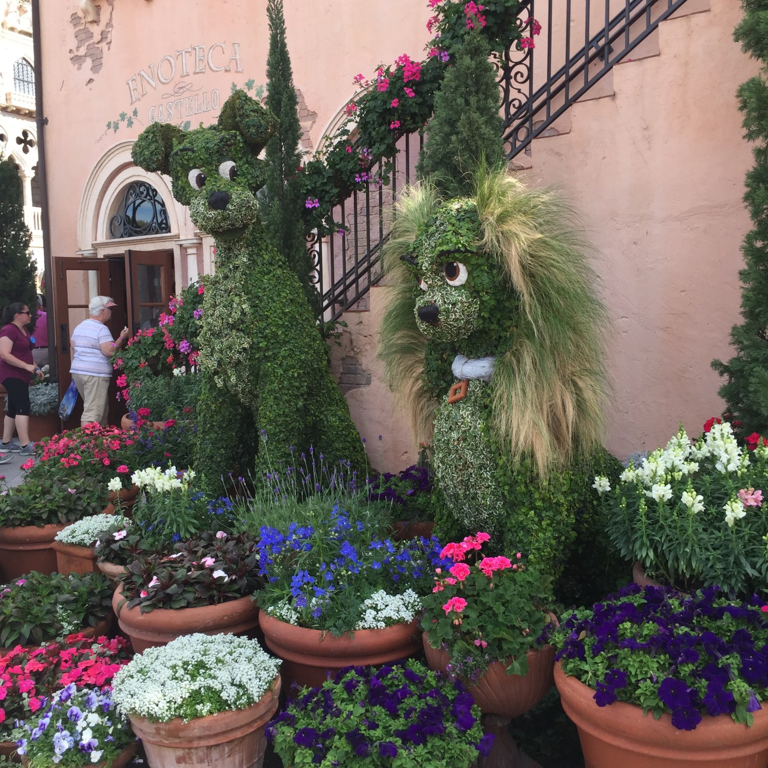 Photo Feb 22, 3 21 25 PM