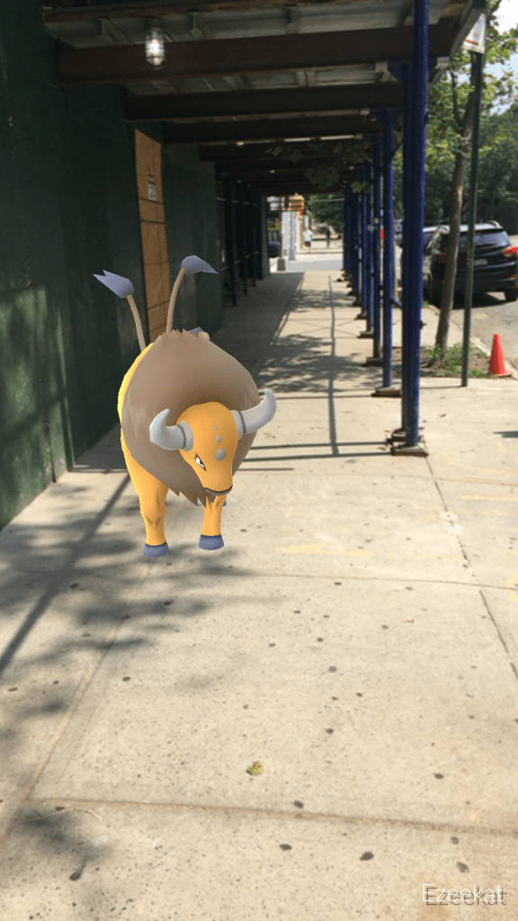 Photo Jul 07, 10 44 20 AM