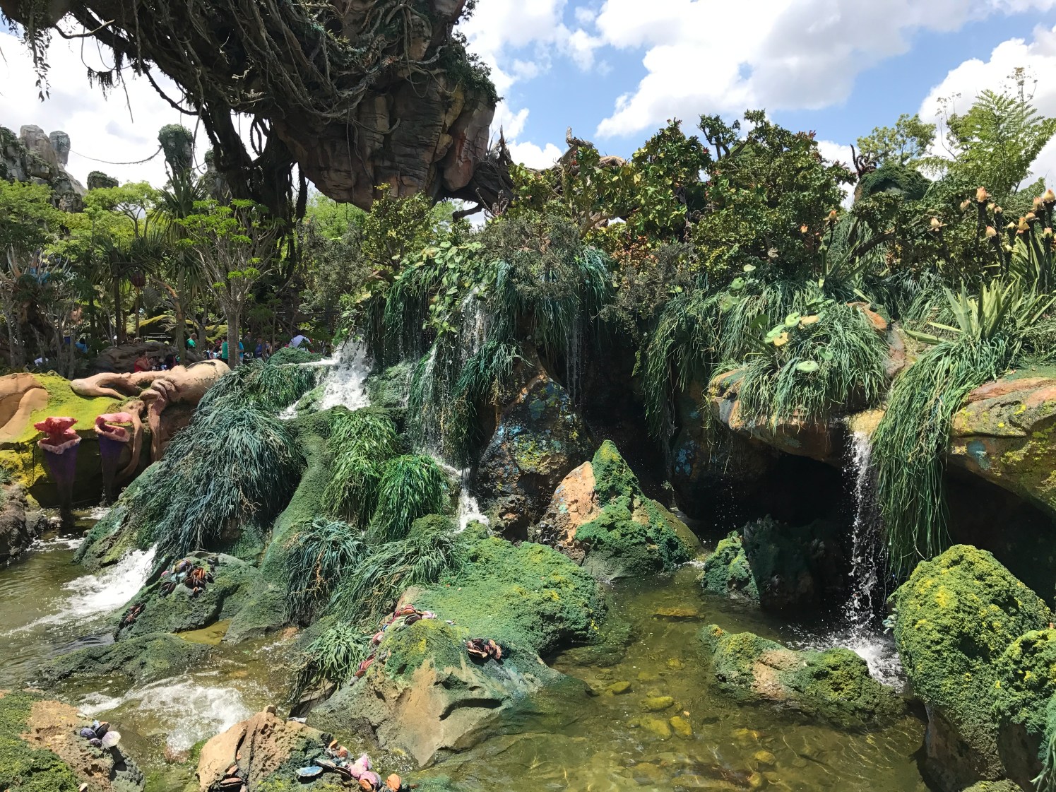 Photo May 17, 1 36 21 PM