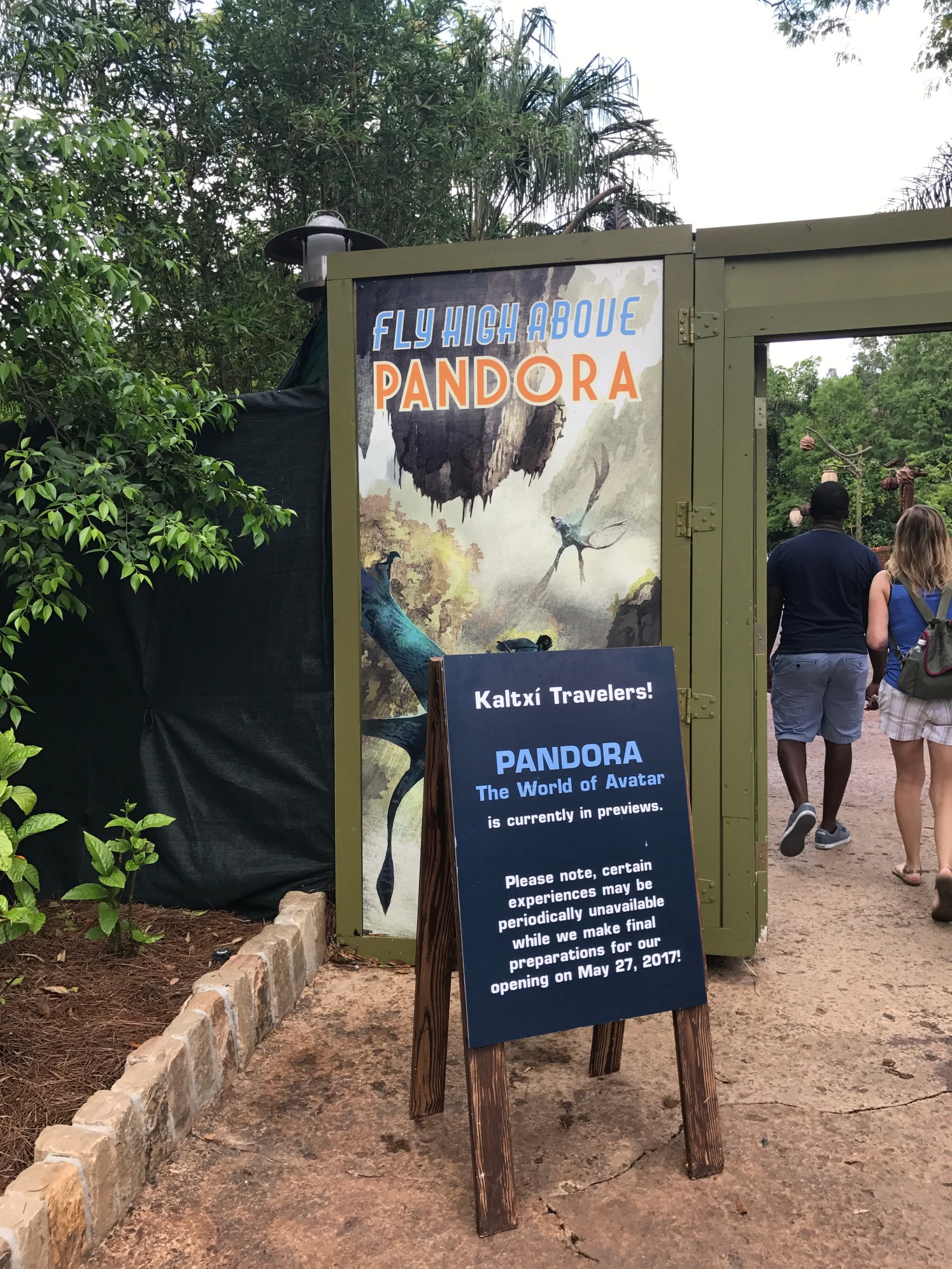 Photo May 17, 11 38 45 AM