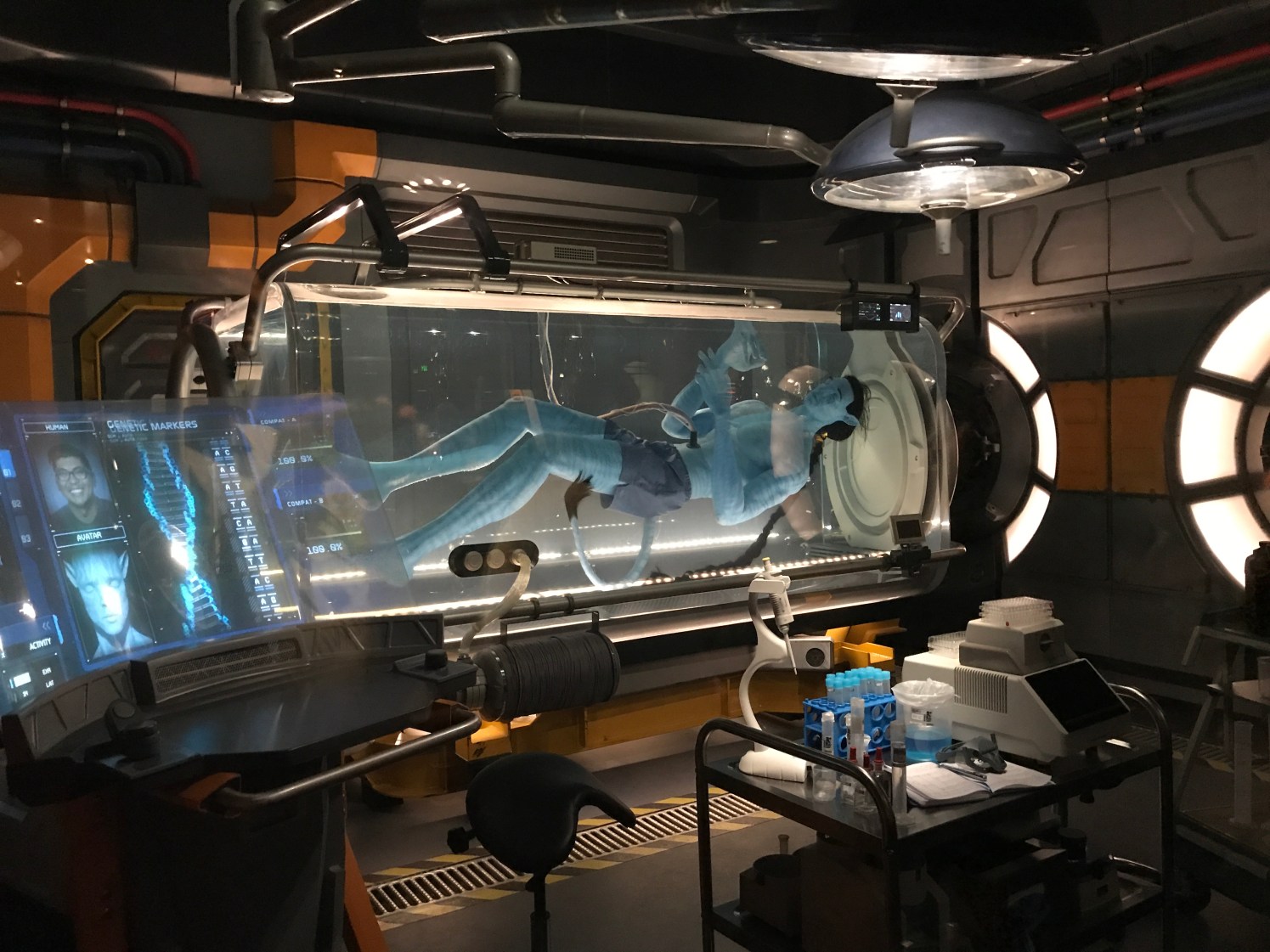 Photo May 17, 11 54 02 AM