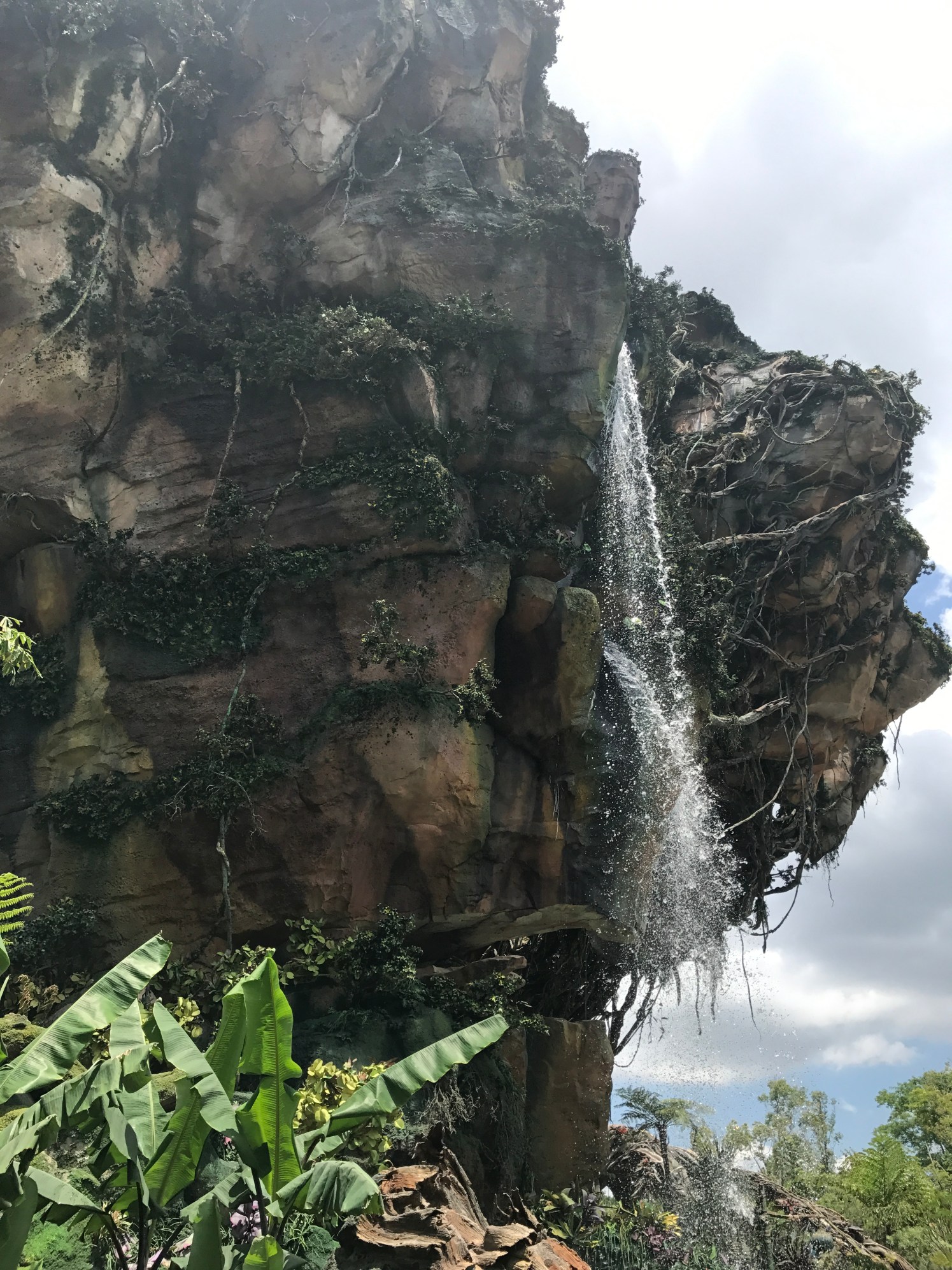 Photo May 17, 12 27 59 PM