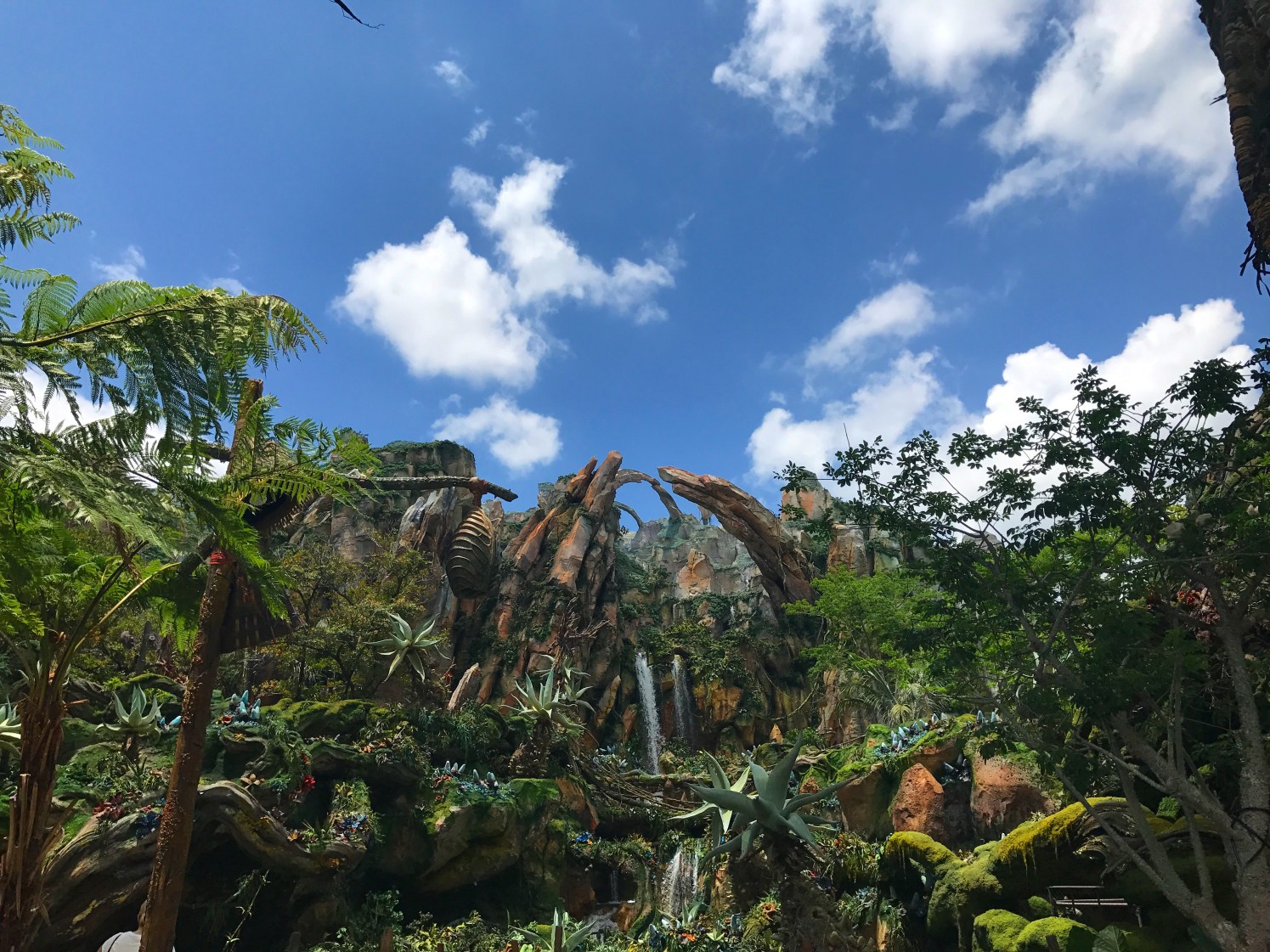 Photo May 17, 12 29 19 PM